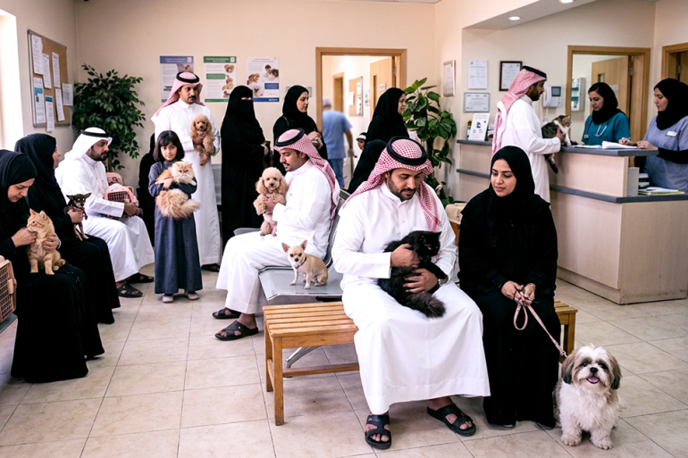 عوامل نجاح العيادات البيطرية